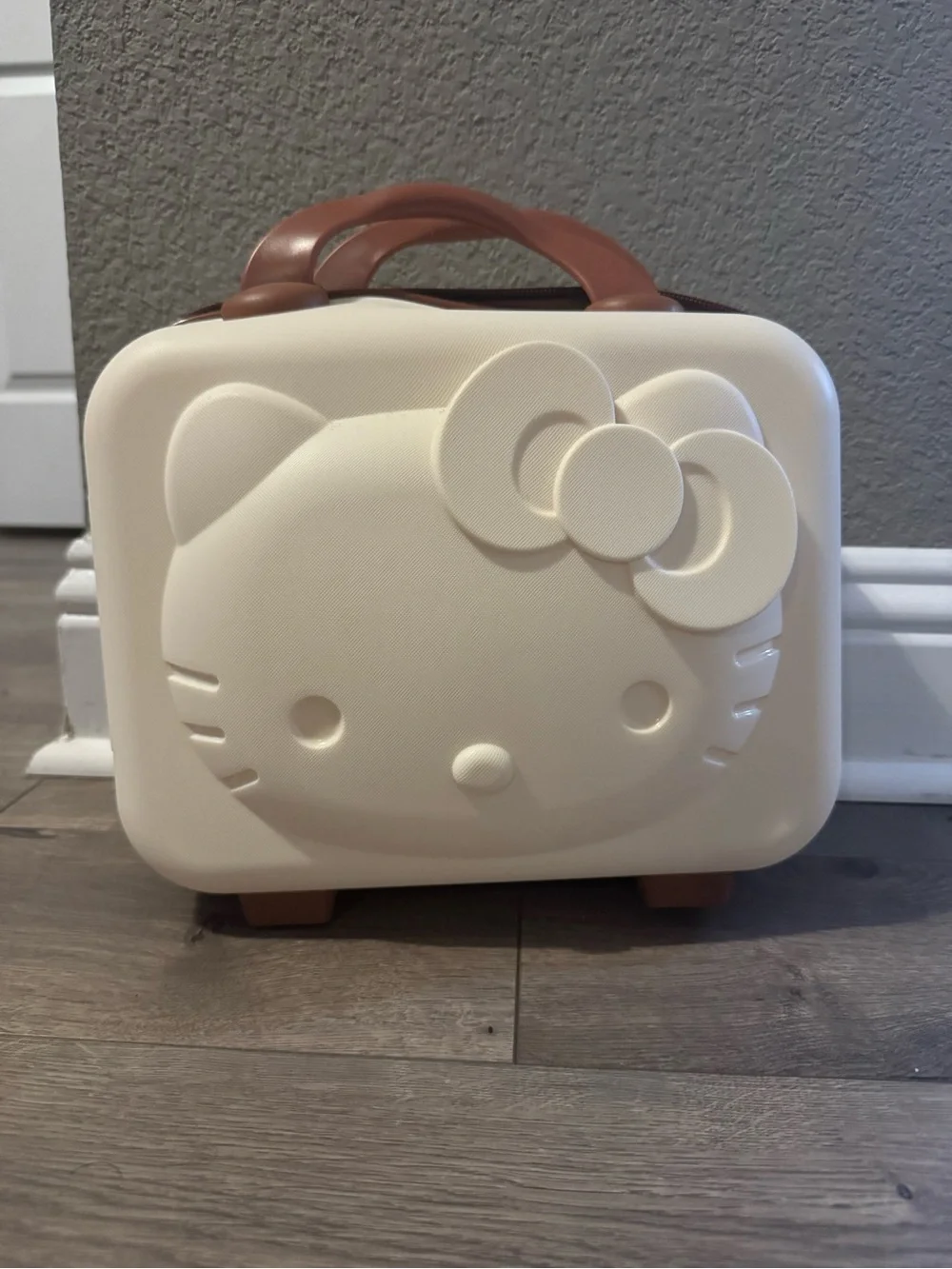 Hello Kitty Cream and Brown Molded Carry Case
